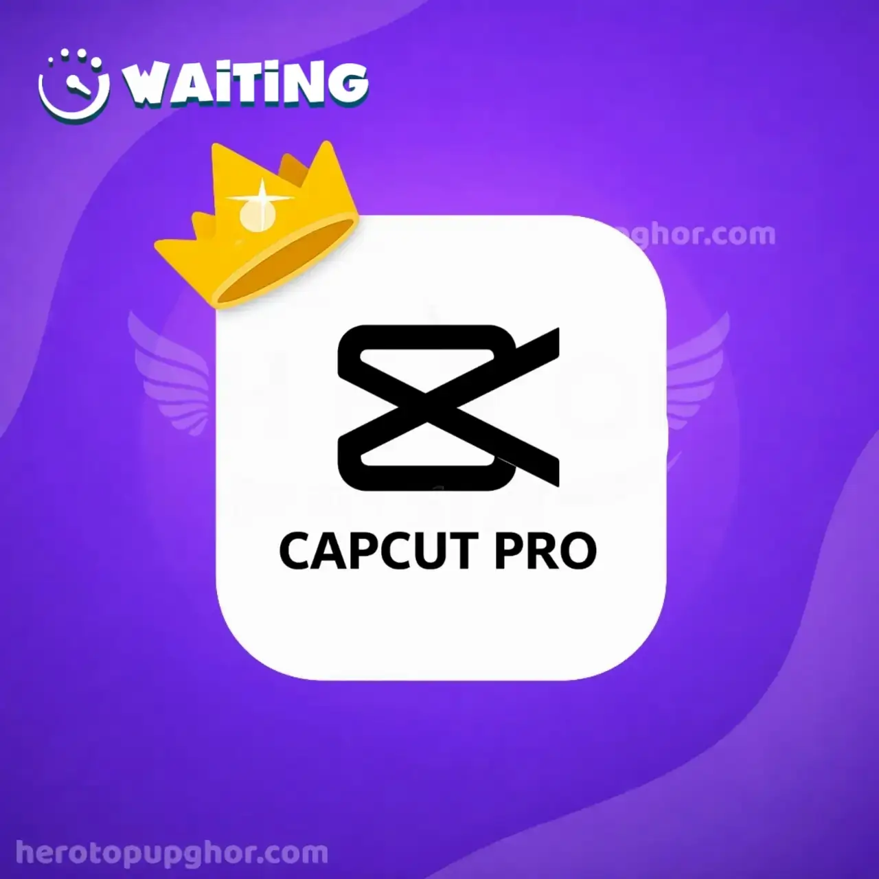 CapCut Pro Apk